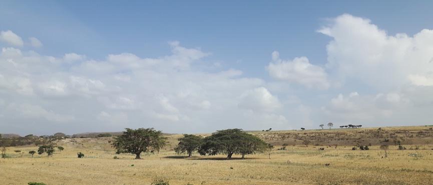 Rift Valley (Etiopia)